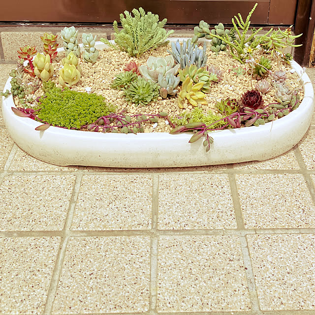 momo_aさんの実例写真