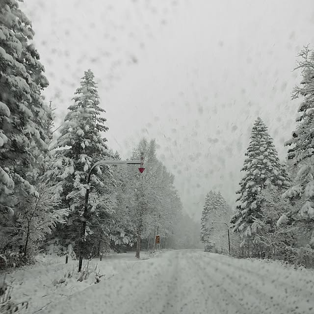 kiraさんの実例写真