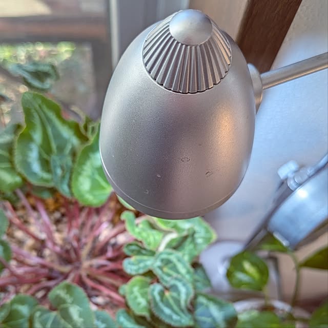 mi-saさんの部屋