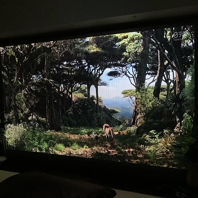 bluecosmosさんの実例写真