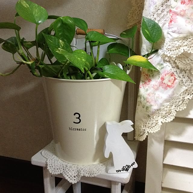Blueroseさんの実例写真