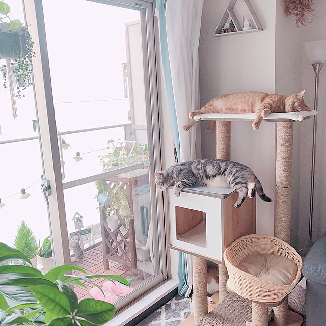 tina_sa_0さんの実例写真