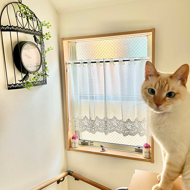 部屋全体/鳥かご時計/猫の置き物/階段の窓辺/ジャムの空き瓶...などのインテリア実例 - 2024-04-28 14:29:32