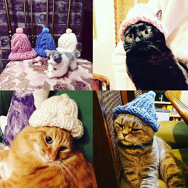 emmyyさんの実例写真