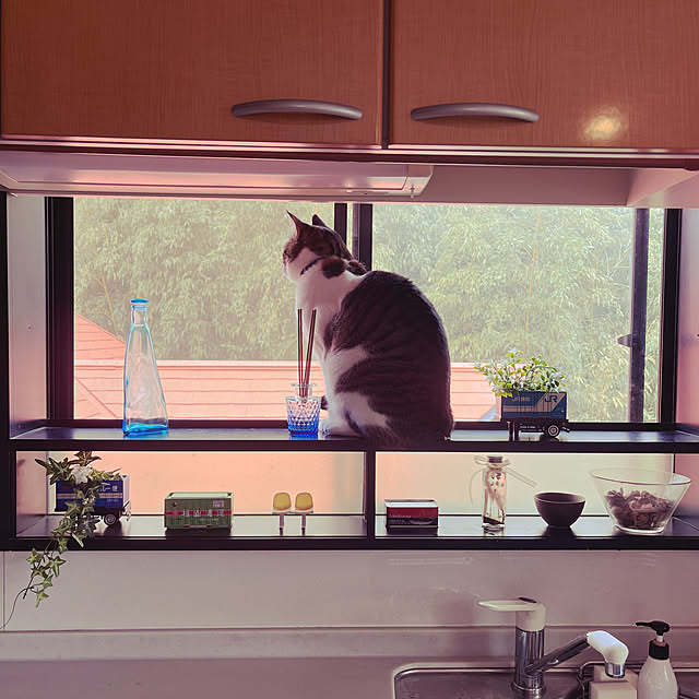 jijiさんの実例写真