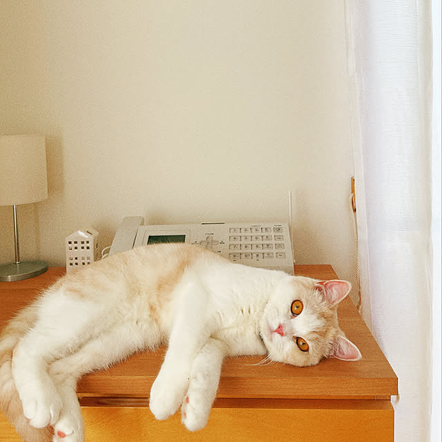 madeleineさんの実例写真