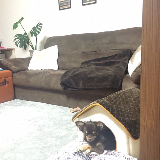 takaさんの実例写真