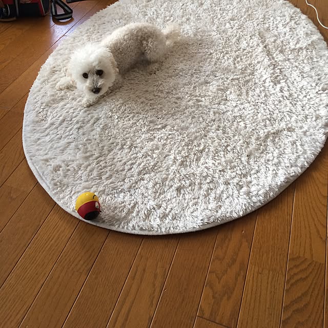 mocoyuki113さんの実例写真