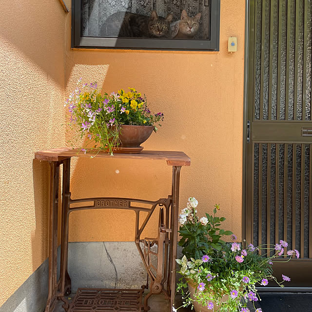 mikan161さんの実例写真