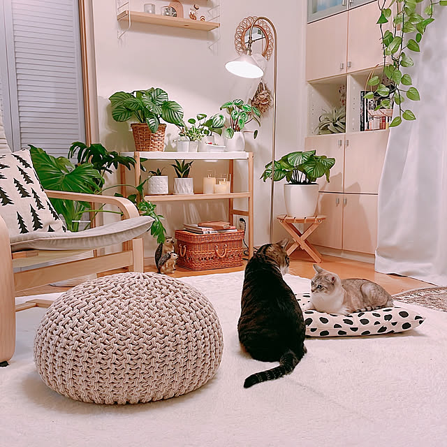 milkcocoaさんの実例写真