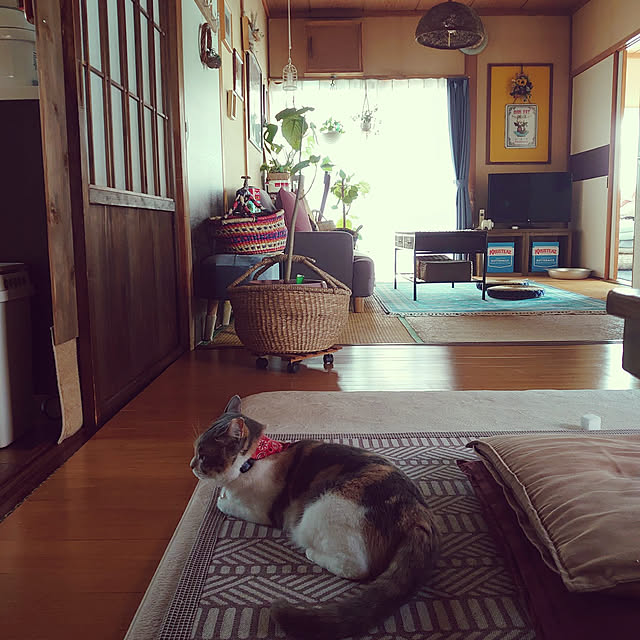 fukuさんの実例写真