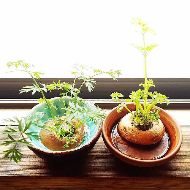 rukaさんの実例写真