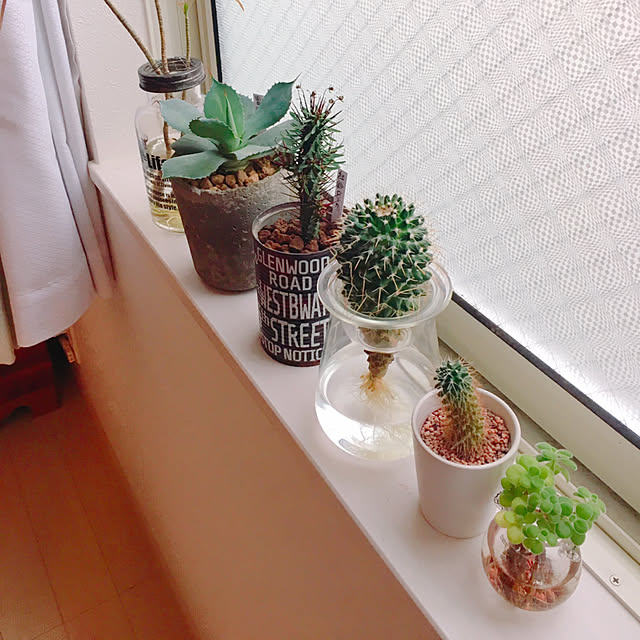 Rinrinさんの実例写真