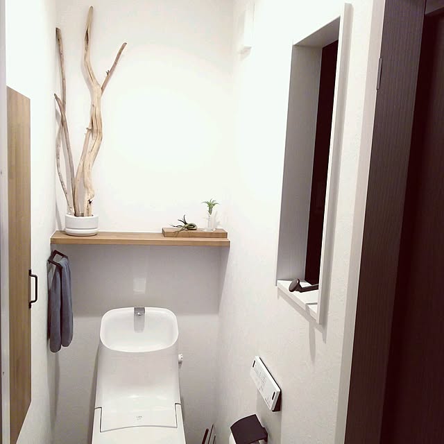 colonさんの実例写真