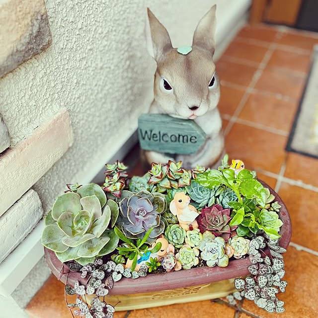 yuccoさんの実例写真