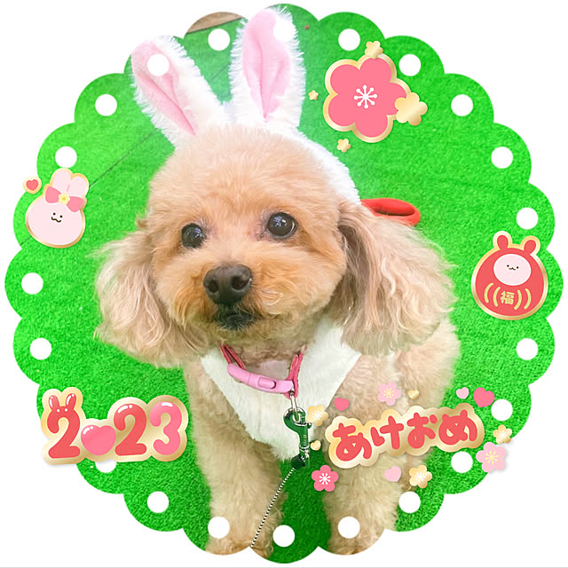 HappyRoseさんの実例写真