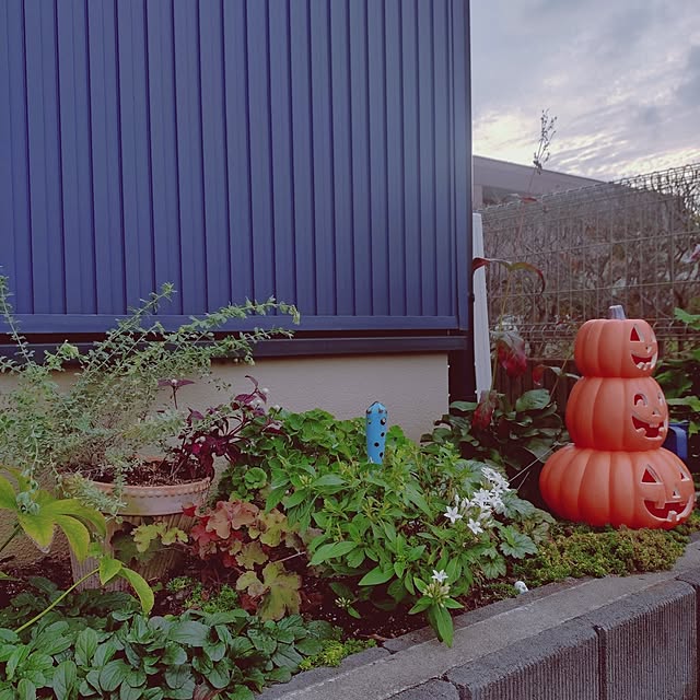 Motoziさんの部屋