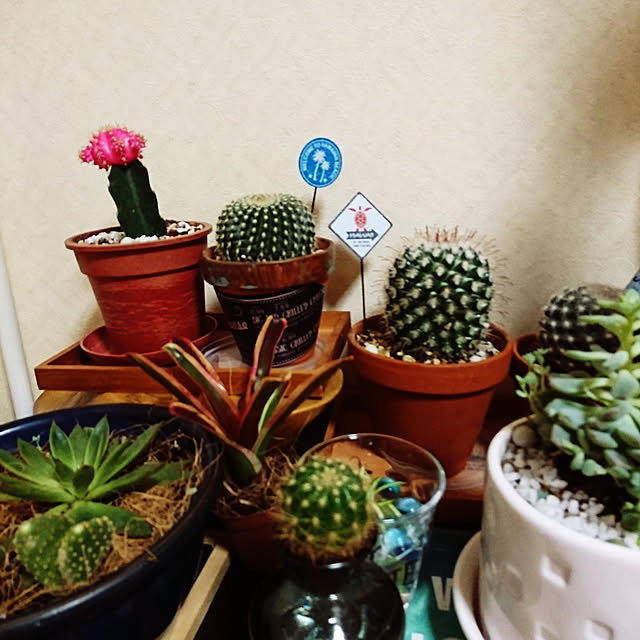 kicさんの実例写真
