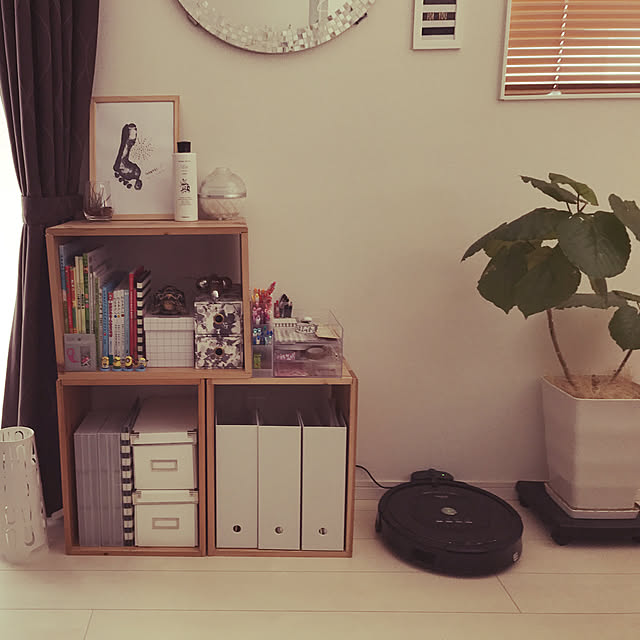 棚/観葉植物/IKEA/セリア/雑貨...などのインテリア実例 - 2017-08-01 15:06:43