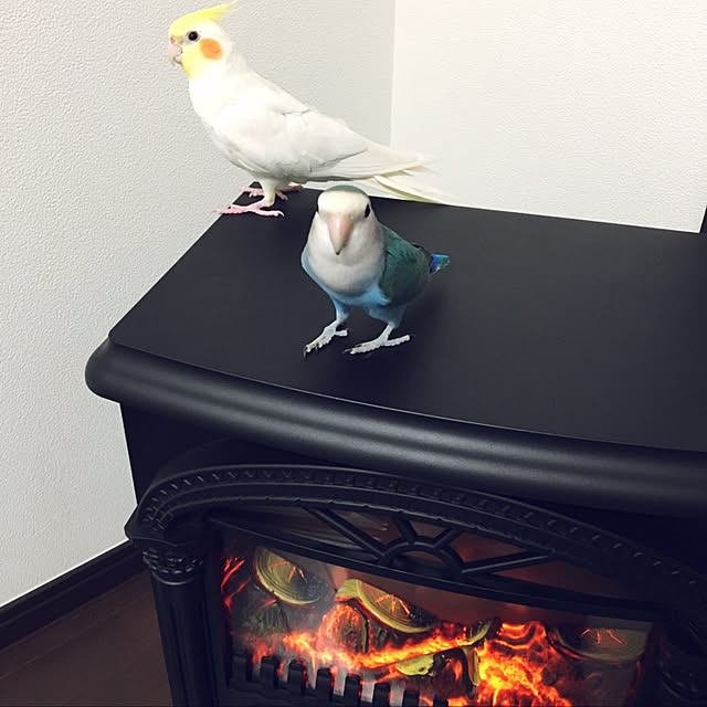 MIUOOさんの実例写真