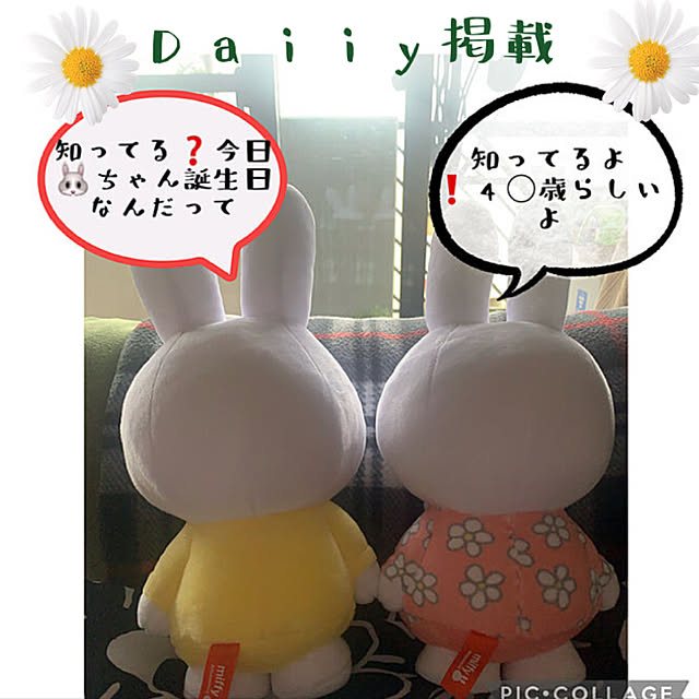 JUNさんの実例写真