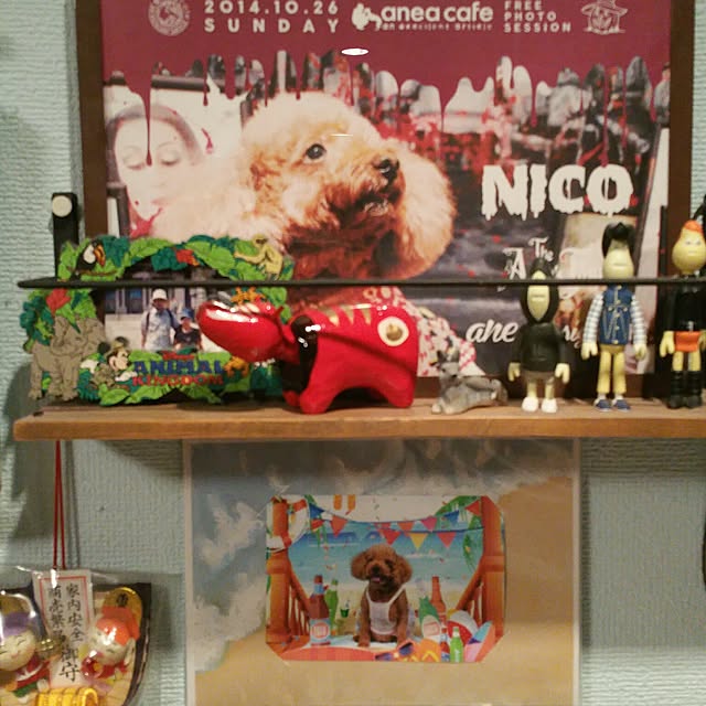 coolnico2525さんの実例写真