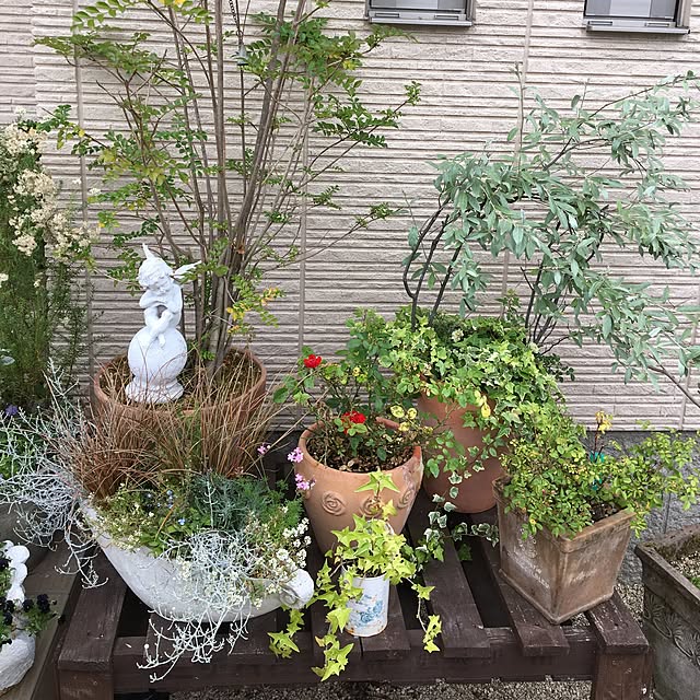 sanw2225719さんの実例写真