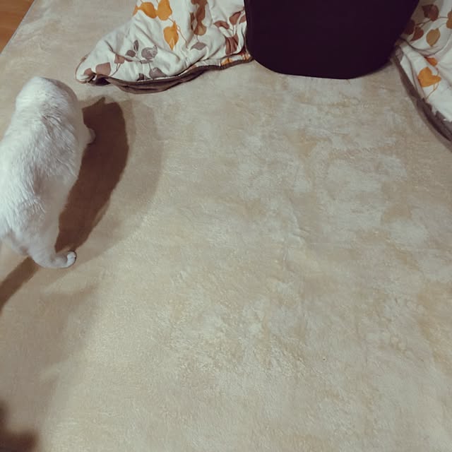 lelielさんの部屋