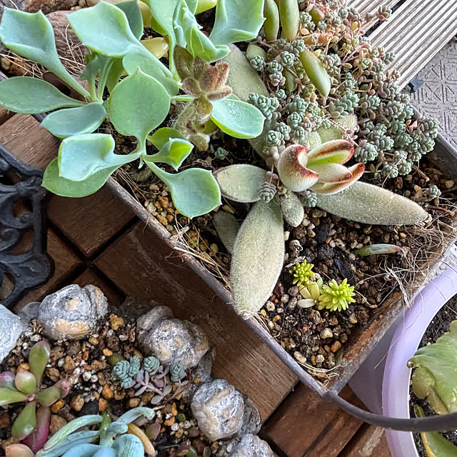 naokoさんの部屋