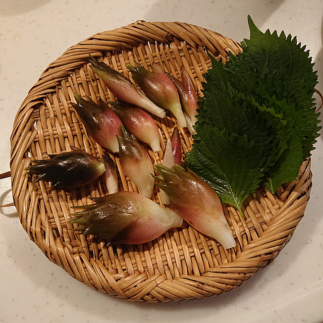 chikoさんの実例写真