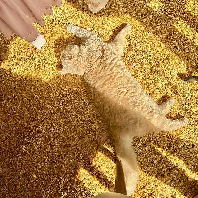 naokoさんの部屋