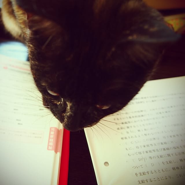 Ryoさんの実例写真