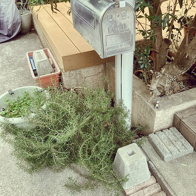 buchikoさんの部屋