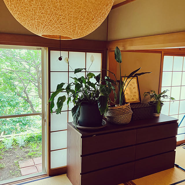 tomorinさんの部屋