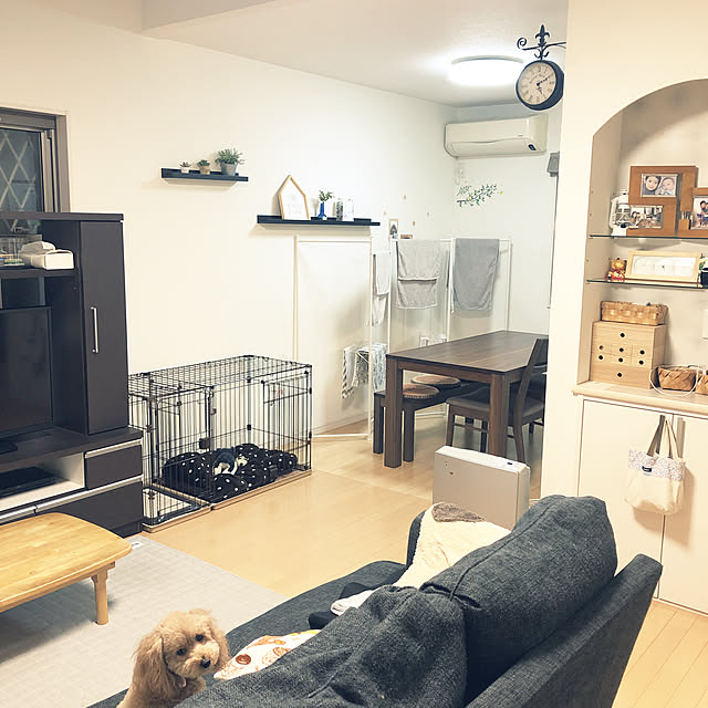 akiasaさんの実例写真