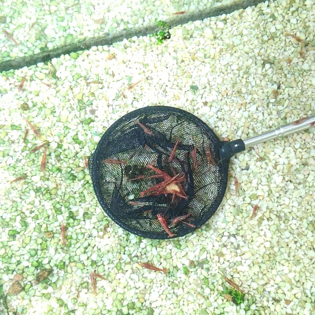 mariaさんの部屋