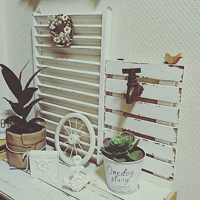 misaさんの実例写真