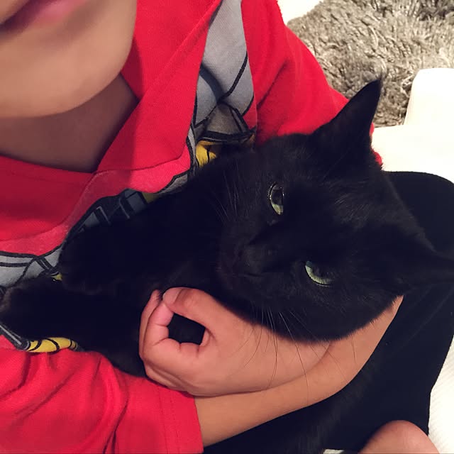 Yuukaさんの実例写真