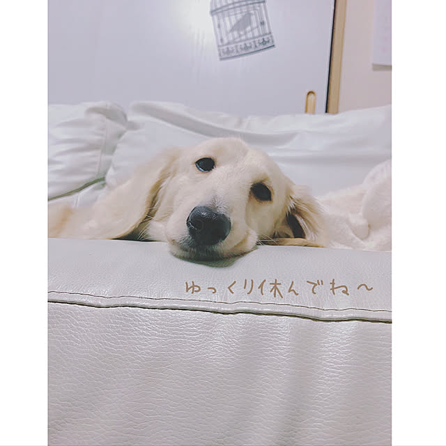 tmさんの実例写真
