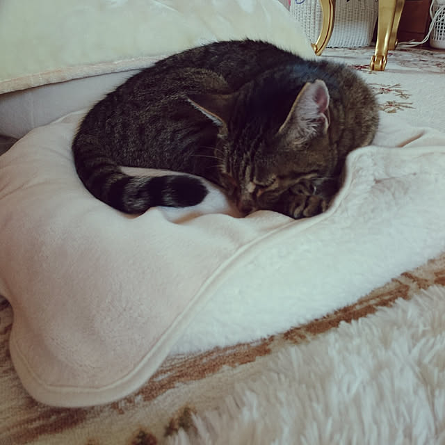lilyさんの実例写真