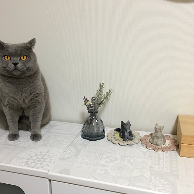 kittyさんの実例写真