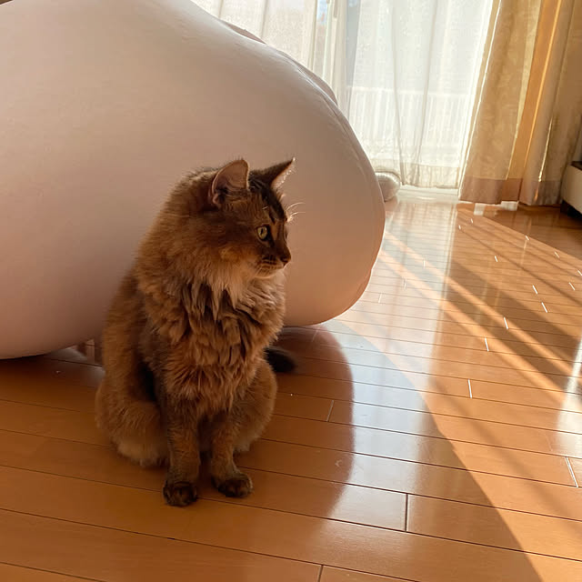yuri.sさんの実例写真