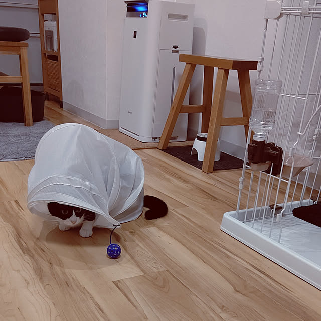 hihaさんの実例写真