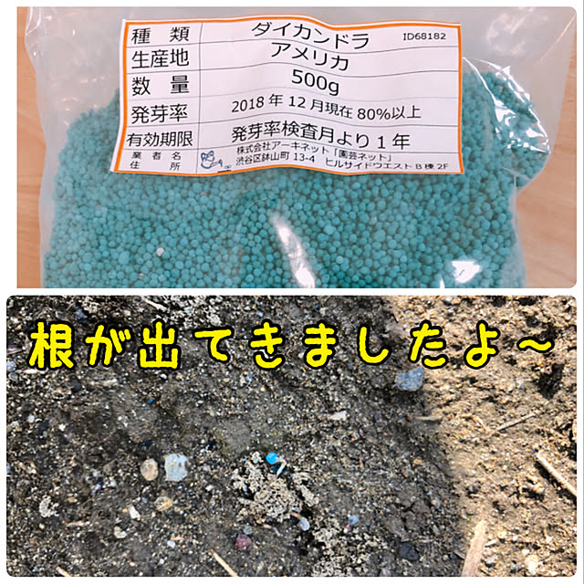 mintさんの実例写真