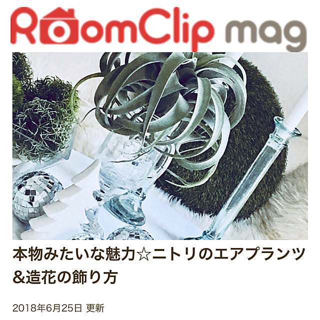 Mopmamaさんの実例写真