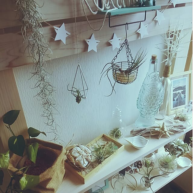 cune65さんの実例写真