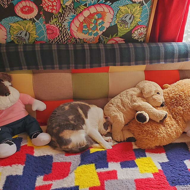kumutanさんの実例写真