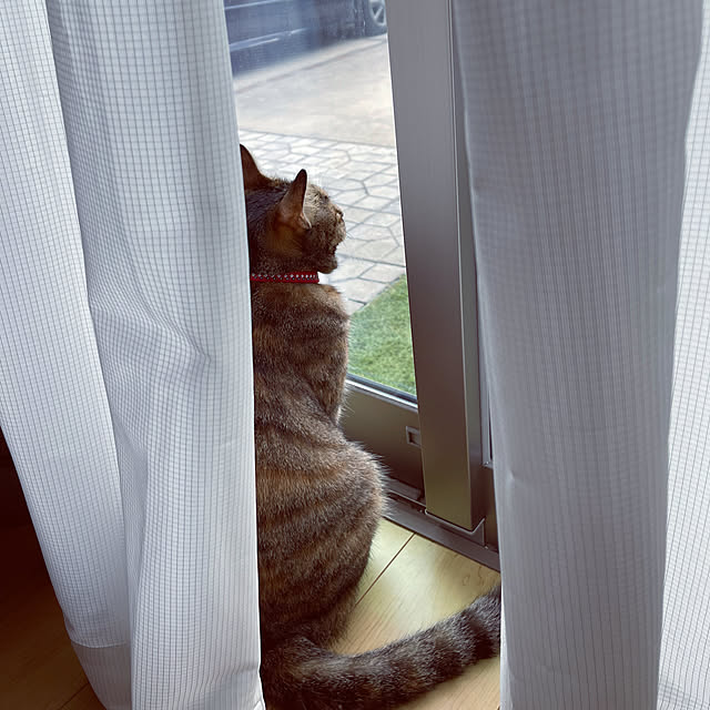 chiiさんの実例写真