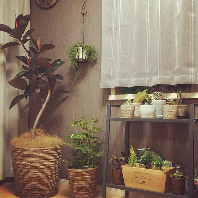 cup_13_0410さんの実例写真