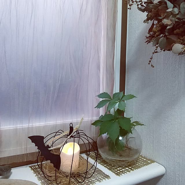 koyutan-mjmさんの実例写真